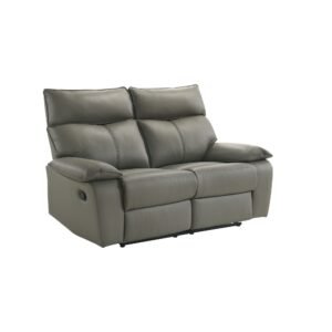 Wildcat Reclining Loveseat