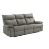 Wildcat Reclining Sofa